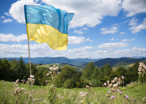 Trade Fact of the Week: Americans buy 11 tons of Ukrainian honey daily