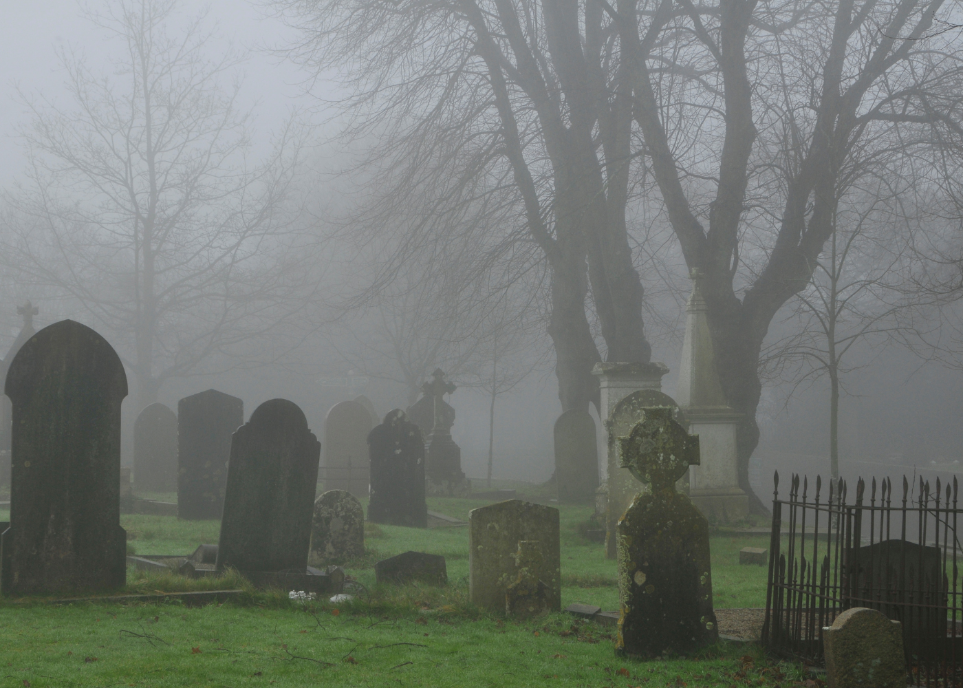 U.S. coffin prices up $100 last year